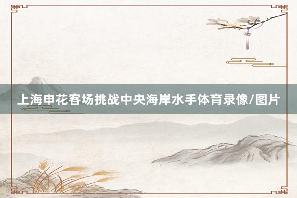 上海申花客场挑战中央海岸水手体育录像/图片