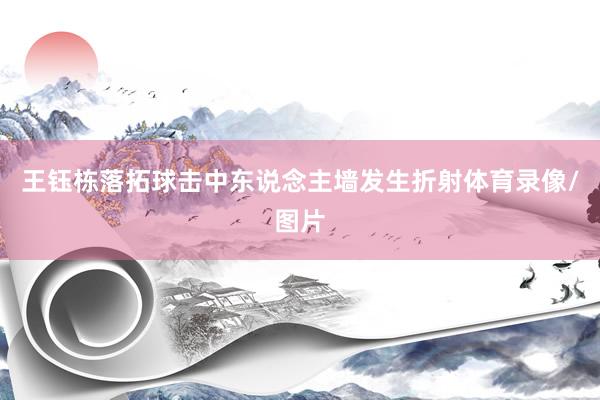 王钰栋落拓球击中东说念主墙发生折射体育录像/图片