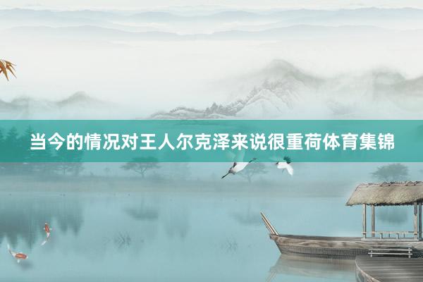当今的情况对王人尔克泽来说很重荷体育集锦