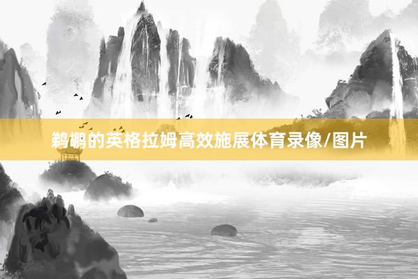鹈鹕的英格拉姆高效施展体育录像/图片