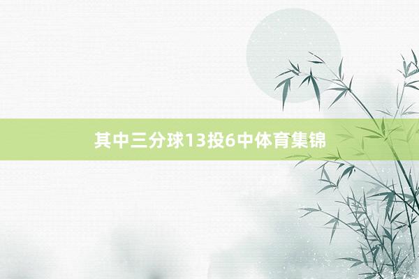 其中三分球13投6中体育集锦