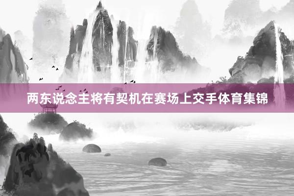 两东说念主将有契机在赛场上交手体育集锦