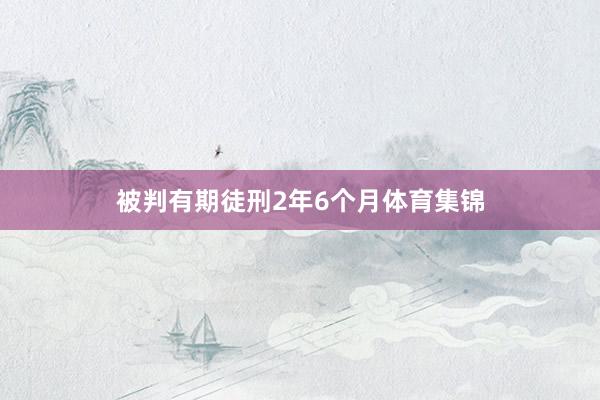 被判有期徒刑2年6个月体育集锦