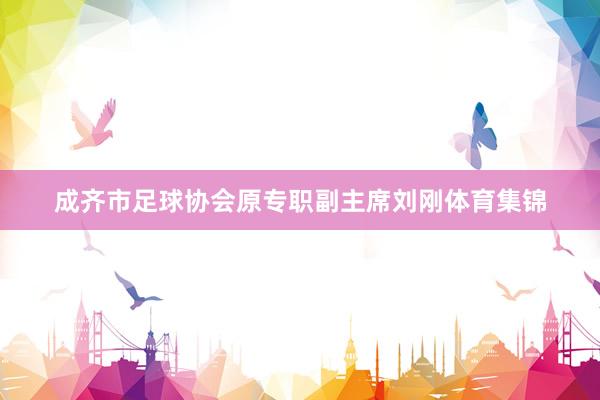 成齐市足球协会原专职副主席刘刚体育集锦