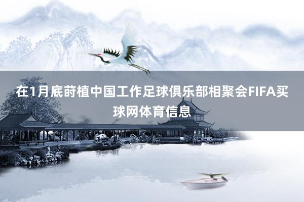 在1月底莳植中国工作足球俱乐部相聚会FIFA买球网体育信息