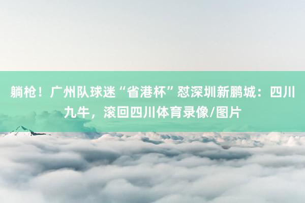 躺枪！广州队球迷“省港杯”怼深圳新鹏城：四川九牛，滚回四川体育录像/图片