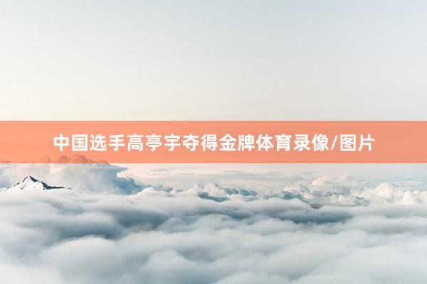 中国选手高亭宇夺得金牌体育录像/图片