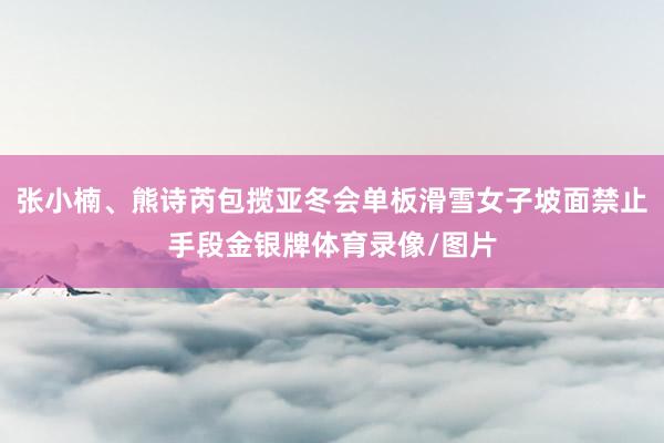 张小楠、熊诗芮包揽亚冬会单板滑雪女子坡面禁止手段金银牌体育录像/图片