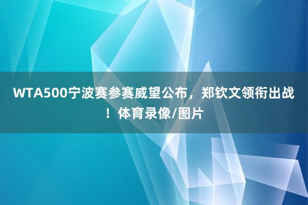 WTA500宁波赛参赛威望公布,郑钦文领衔出战!体育录像/图片