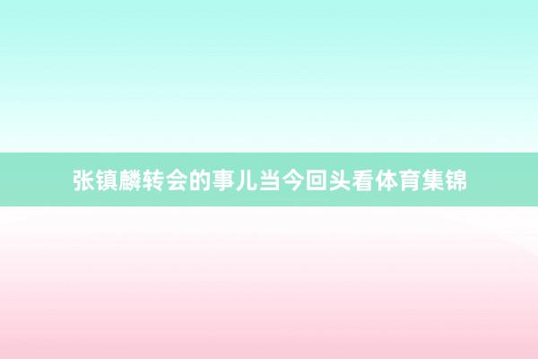 张镇麟转会的事儿当今回头看体育集锦
