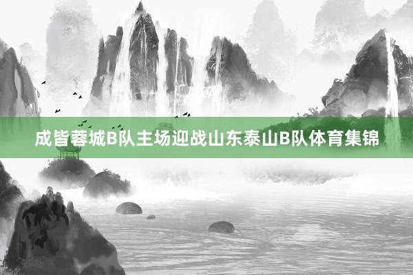 成皆蓉城B队主场迎战山东泰山B队体育集锦