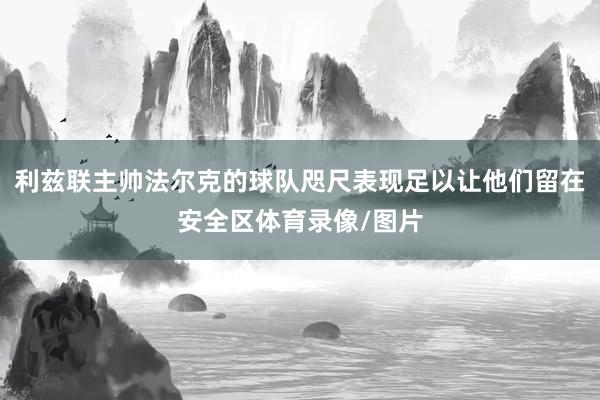利兹联主帅法尔克的球队咫尺表现足以让他们留在安全区体育录像/图片