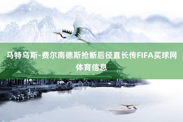 马特乌斯-费尔南德斯抢断后径直长传FIFA买球网体育信息
