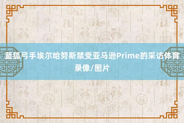 蓝狐弓手埃尔哈努斯禁受亚马逊Prime的采访体育录像/图片
