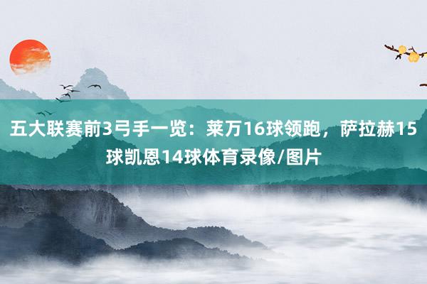 五大联赛前3弓手一览：莱万16球领跑，萨拉赫15球凯恩14球体育录像/图片