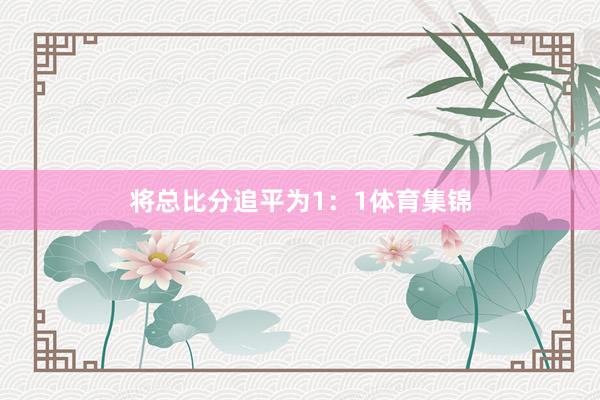 将总比分追平为1：1体育集锦