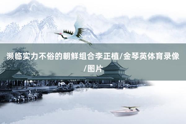 濒临实力不俗的朝鲜组合李正植/金琴英体育录像/图片