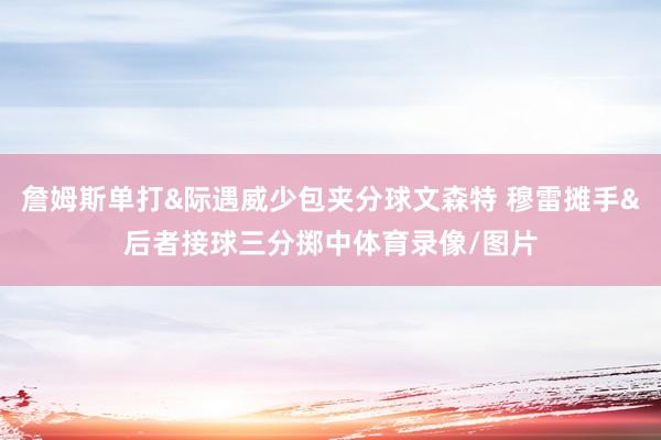 詹姆斯单打&际遇威少包夹分球文森特 穆雷摊手&后者接球三分掷中体育录像/图片