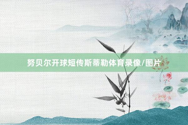努贝尔开球短传斯蒂勒体育录像/图片