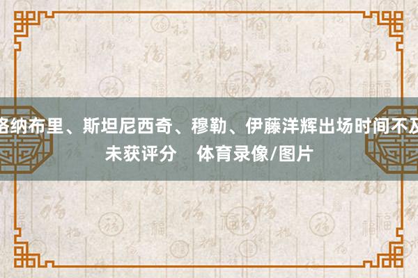 格纳布里、斯坦尼西奇、穆勒、伊藤洋辉出场时间不及未获评分    体育录像/图片