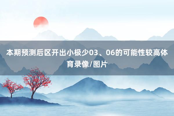本期预测后区开出小极少03、06的可能性较高体育录像/图片