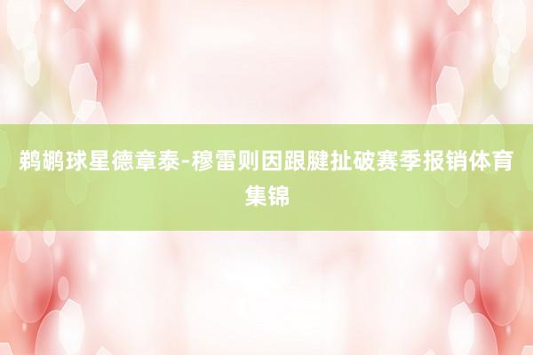 鹈鹕球星德章泰-穆雷则因跟腱扯破赛季报销体育集锦