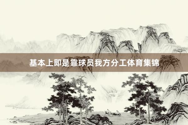 基本上即是靠球员我方分工体育集锦