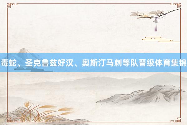 毒蛇、圣克鲁兹好汉、奥斯汀马刺等队晋级体育集锦