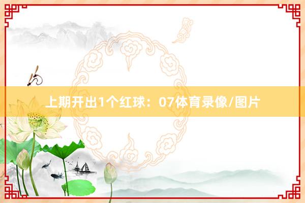上期开出1个红球:07体育录像/图片