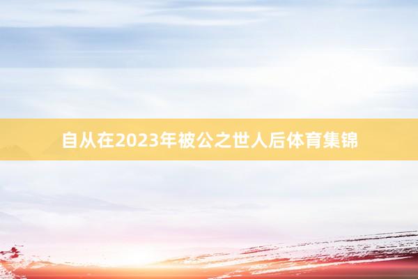 自从在2023年被公之世人后体育集锦