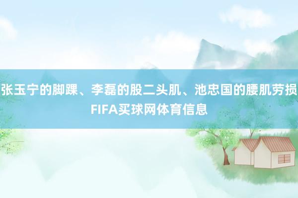 张玉宁的脚踝、李磊的股二头肌、池忠国的腰肌劳损FIFA买球网体育信息