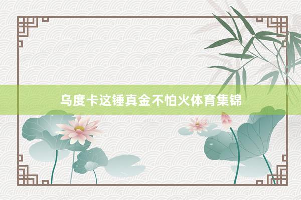 乌度卡这锤真金不怕火体育集锦