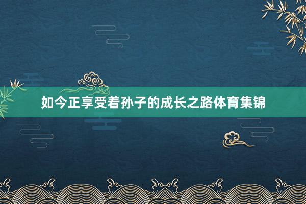 如今正享受着孙子的成长之路体育集锦