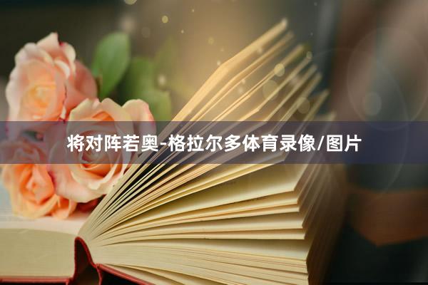 将对阵若奥-格拉尔多体育录像/图片