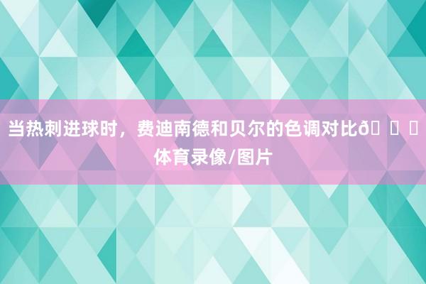 当热刺进球时，费迪南德和贝尔的色调对比😂体育录像/图片