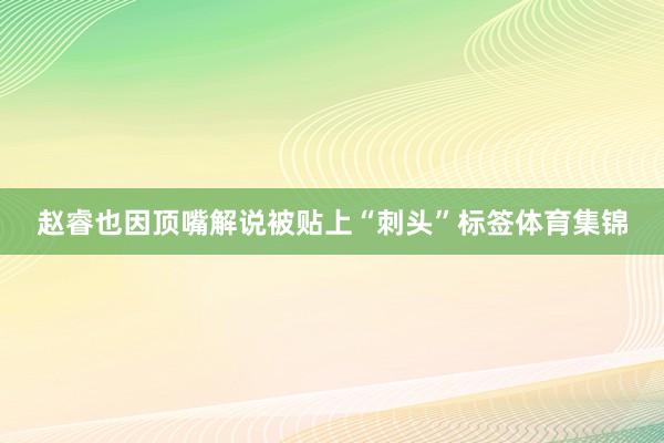 赵睿也因顶嘴解说被贴上“刺头”标签体育集锦