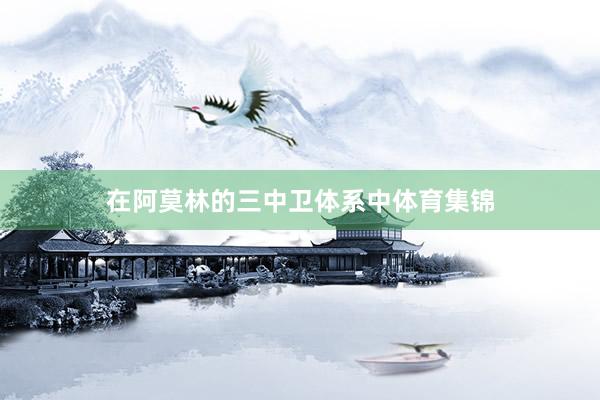 在阿莫林的三中卫体系中体育集锦