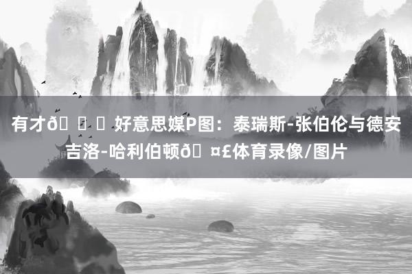 有才😂好意思媒P图：泰瑞斯-张伯伦与德安吉洛-哈利伯顿🤣体育录像/图片