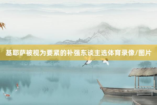 基耶萨被视为要紧的补强东谈主选体育录像/图片